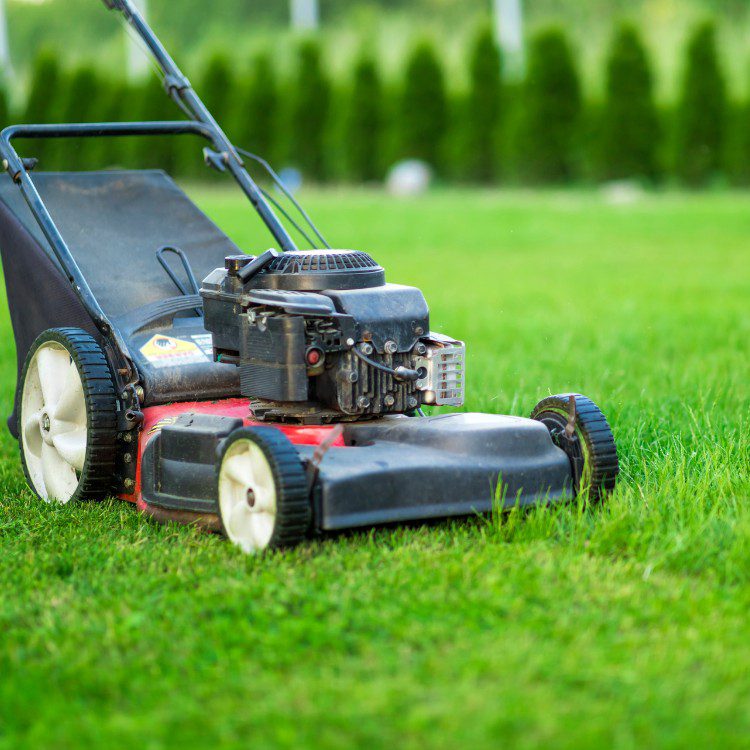 Property Maintenance in Eugene, OR