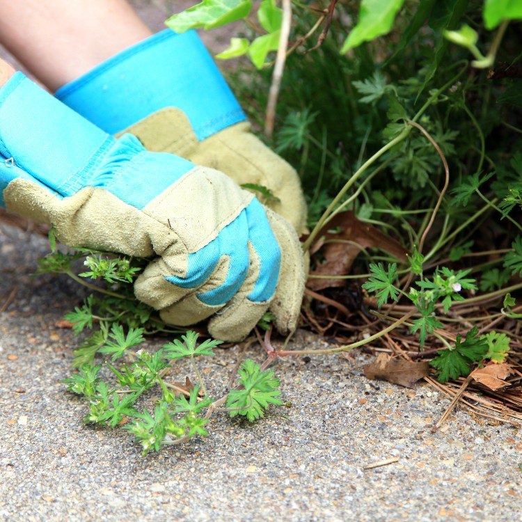 Property Maintenance in Eugene, OR Property Maintenance in Eugene, OR
