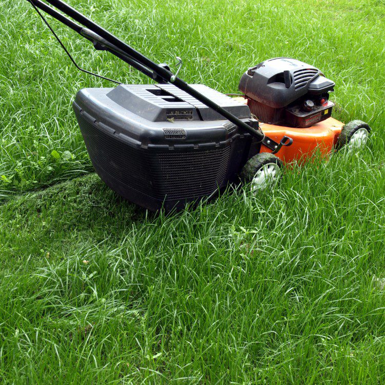 Property Maintenance in Eugene, OR Property Maintenance in Eugene, OR