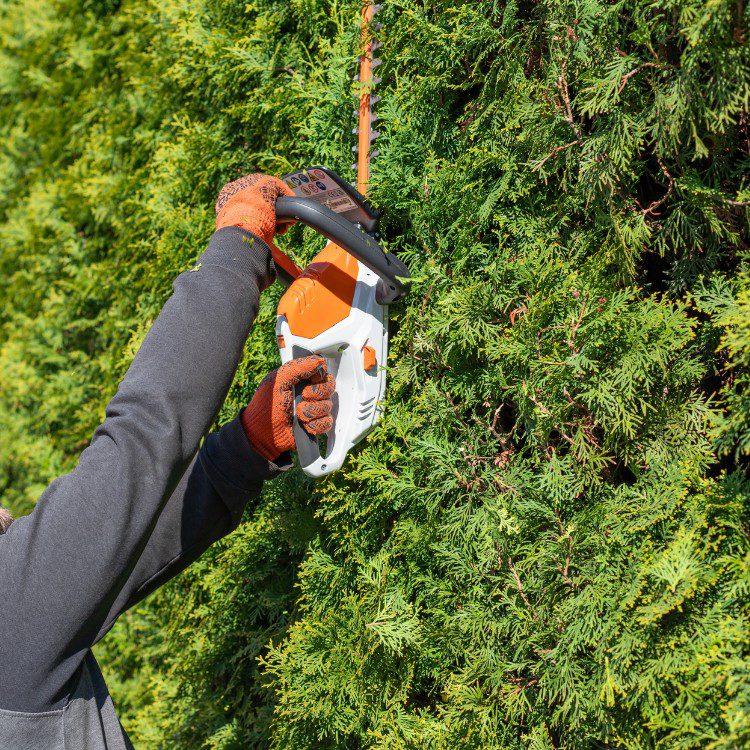Property Maintenance in Eugene, OR Property Maintenance in Eugene, OR