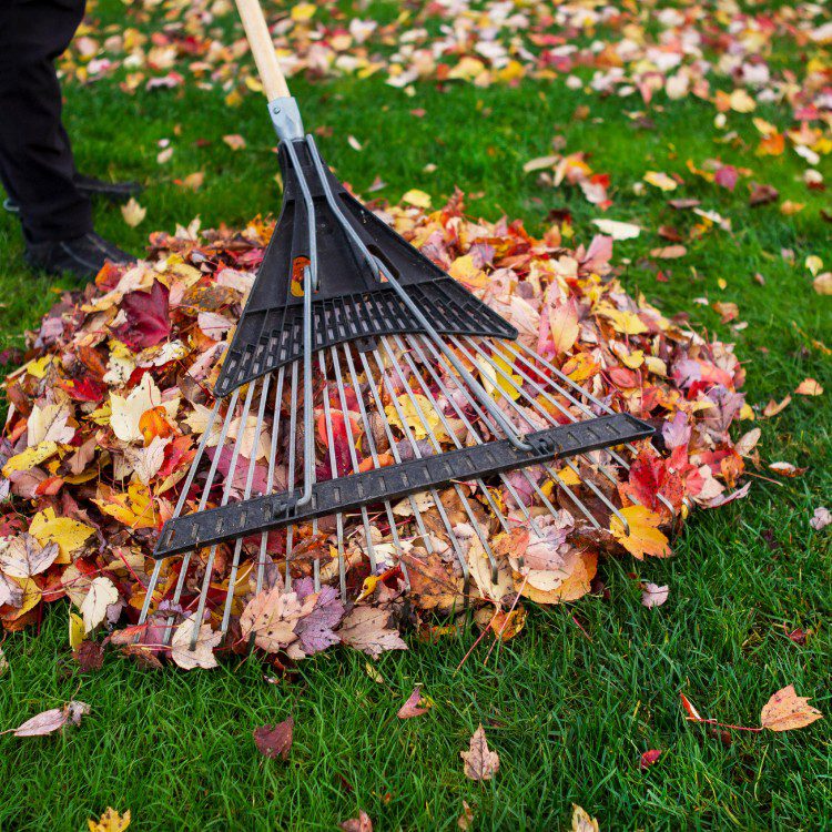 Property Maintenance in Eugene, OR Property Maintenance in Eugene, OR