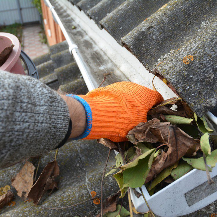 Property Maintenance in Eugene, OR Property Maintenance in Eugene, OR