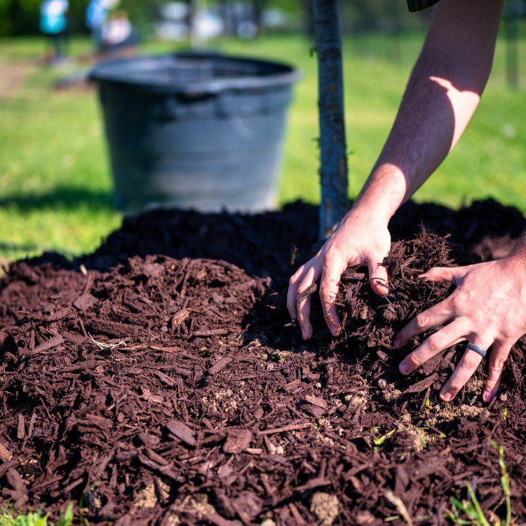 Property Maintenance in Eugene, OR Property Maintenance in Eugene, OR