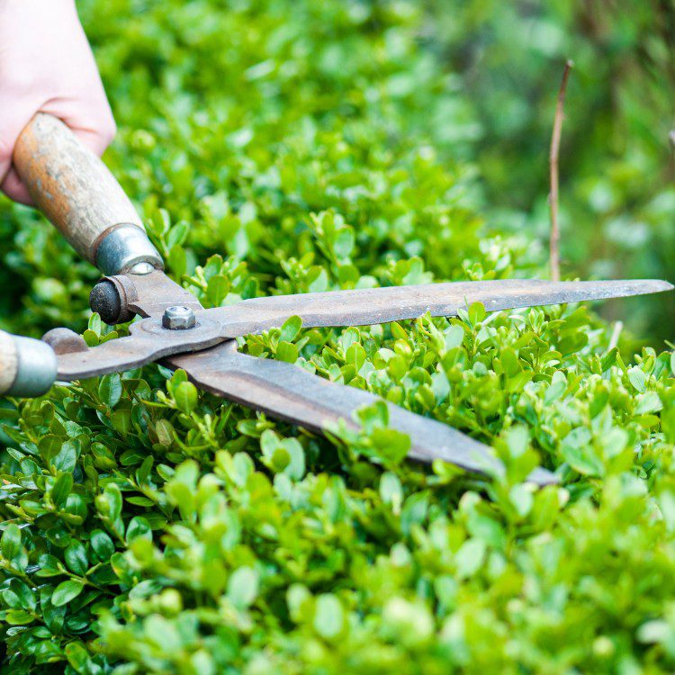 Property Maintenance in Eugene, OR Property Maintenance in Eugene, OR