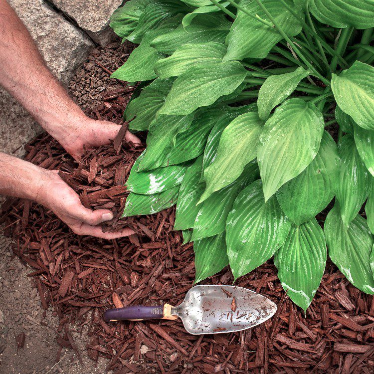 Property Maintenance in Eugene, OR