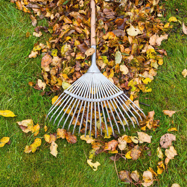 Property Maintenance in Eugene, OR Property Maintenance in Eugene, OR