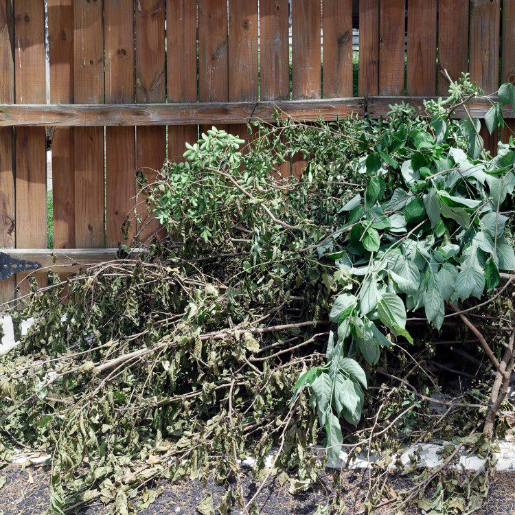 Property Maintenance in Eugene, OR Property Maintenance in Eugene, OR