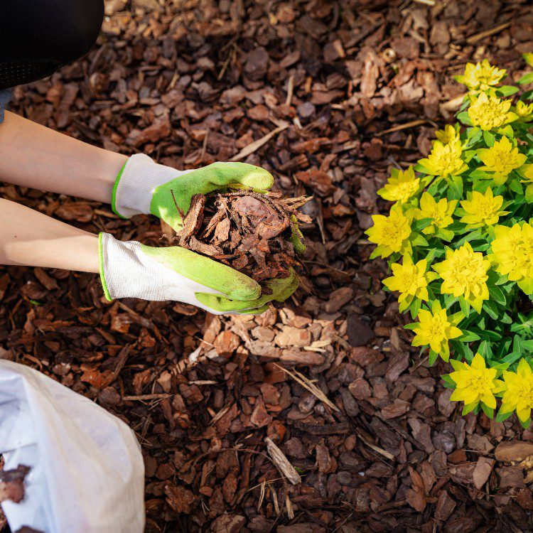 Property Maintenance in Eugene, OR Property Maintenance in Eugene, OR