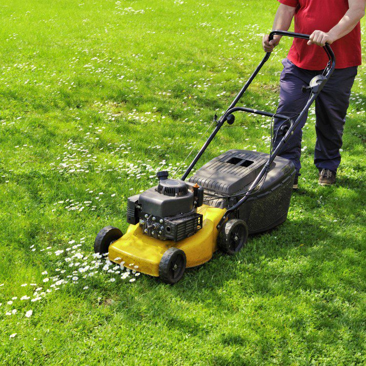 Property Maintenance in Eugene, OR Property Maintenance in Eugene, OR