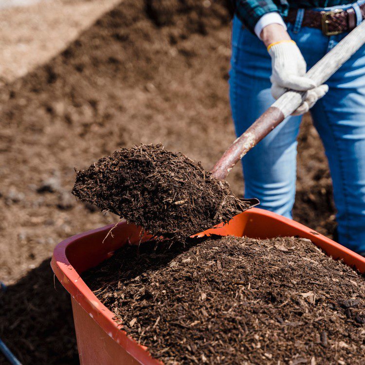 Property Maintenance in Eugene, OR Property Maintenance in Eugene, OR